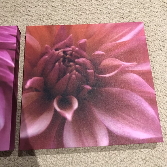 Floral Canvas Prints (Set of 3) - Picture 4 of 7